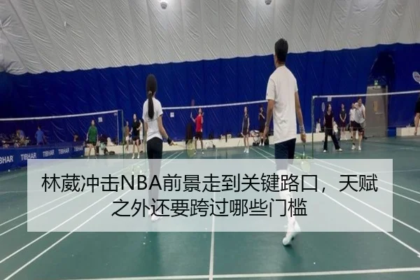 林葳冲击NBA前景走到关键路口，天赋之外还要跨过哪些门槛